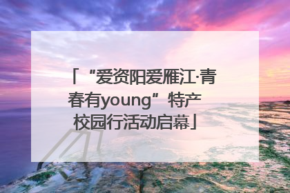 “爱资阳爱雁江·青春有young”特产校园行活动启幕